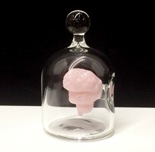 Kiva Ford miniatura anatomia cérebro em um frasco 1,5" vidro soprado à mão borosilicato comprar usado  Enviando para Brazil