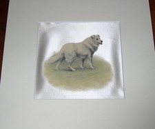 Antique samoyed dog for sale  WARRINGTON