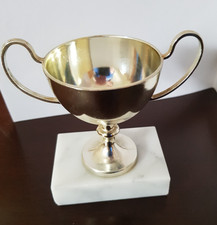 Trophy cup heavy for sale  NORTHALLERTON