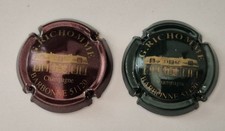 Capsules champagne richomme d'occasion  Flayosc