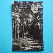 Pine woods clevedon for sale  TELFORD