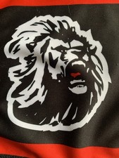 Sciarpa ultras fossa usato  Domodossola