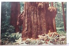 California redwood highway for sale  Wilmington