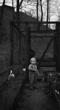 Portrait enfant poulailler d'occasion  Nancy-