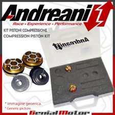 Andreani kit pistoni usato  Italia
