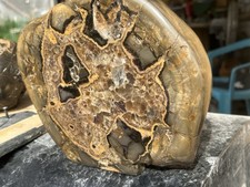 Petrified med ball for sale  Clearfield