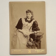 Cabinet card pretty for sale  Pleasant Lake