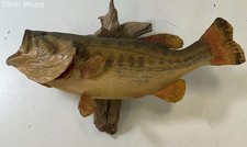 Vintage largemouth bass for sale  La Vista