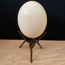 Real ostrich egg for sale  Lehi