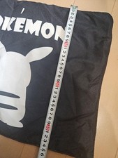 Pokemon pikachu duvet d'occasion  Expédié en Belgium