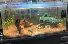 Aquarium fish tank for sale  LONDON