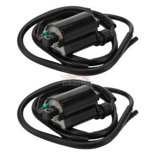 Usado, 2 Bobine d'allumage pour Honda CB600F Hornet 1998-2002 CB900F 919 2002-2007 comprar usado  Enviando para Brazil