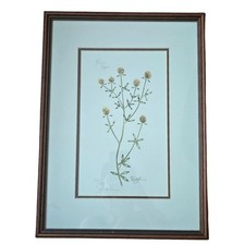 Priarie hops lithography for sale  Valparaiso