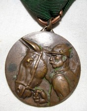 Ww2 italia medaglia usato  San Giorgio a Cremano