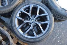 2019 2023 dodge for sale  Paterson