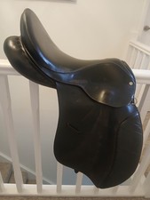 Medium wide english for sale  BEAMINSTER