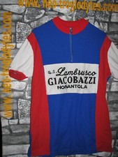 Vintage cycling jersey usato  Italia