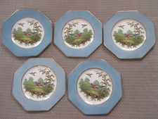 plate royal wedgewood for sale  Orange Park