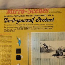 Wall mirror mural for sale  Prattville
