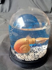 Rare boule neige d'occasion Rare boule neige d'occasion  Sorèze