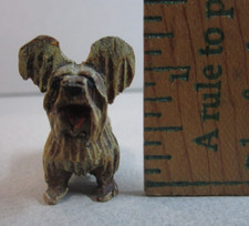 Yorkie terrier old for sale  Bowie