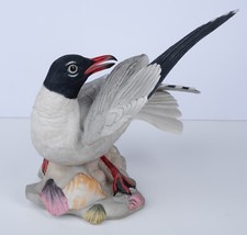 Boehm laughing gull for sale  Fontana