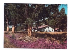 Carte postale ancienne d'occasion  Lescar