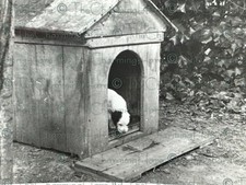 Vintage photo english for sale  Anniston