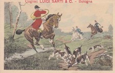 C175 bologna cognac usato  Lugo