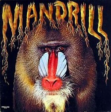 Mandrill used vinyl for sale  SWINDON