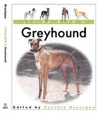 Living greyhound used for sale  UK