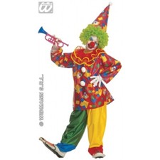 Costume funny clown usato  Italia