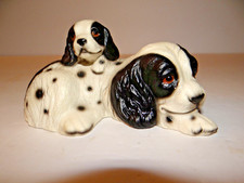 Cocker spaniel mom for sale  Southborough
