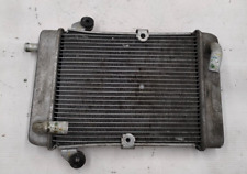 Radiatore acqua honda usato  Lamezia Terme