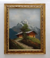 Paesaggio alpino con usato  Torino