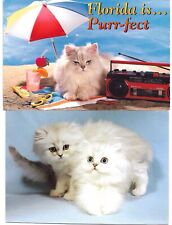 Cheeky cat postcards. for sale  MILTON KEYNES