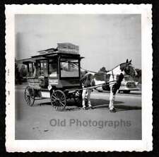 CAVALO DESENHADO CONCESSÃO SUPORTE LANCHONETE PIPOCA AMENDOIM FOTO ANTIGA/VINTAGE- M88, usado comprar usado  Enviando para Brazil