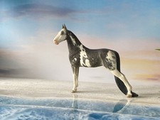 horse horse for sale horse horse for sale Lake Charles