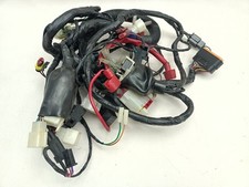 Cabalaggio elettrico electric usato  Italia