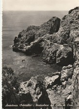 Cartolina ansedonia ortobello usato  Ticengo