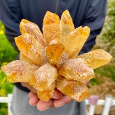 463G Nuevo encontrar muestras minerales de racimo de cristal de cuarzo fantasma amarillo segunda mano  Embacar hacia Mexico