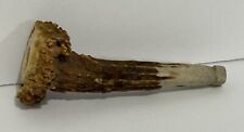 Vintage antler stag for sale  Youngstown