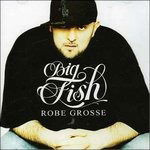 Big fish robe usato  Italia