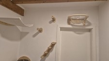 Catwalk kletterwand katzenwand gebraucht kaufen  Erfurt
