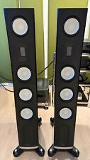 Raidho acoustics c3.1 for sale  Houston