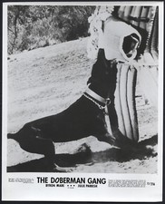 The doberman gang d'occasion  Expédié en Belgium