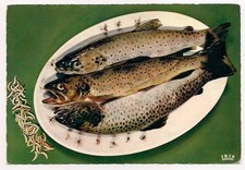 Fly catching trout d'occasion  Expédié en Belgium