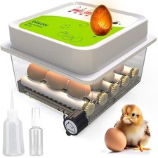 Okköbi obi egg for sale  WIRRAL