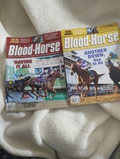 Another thoroughbred derby for sale  Wonder Lake