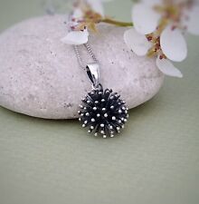 Sea urchin pendant for sale  WORKSOP